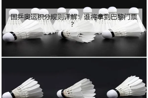 国乒奥运积分规则详解：谁将拿到巴黎门票？