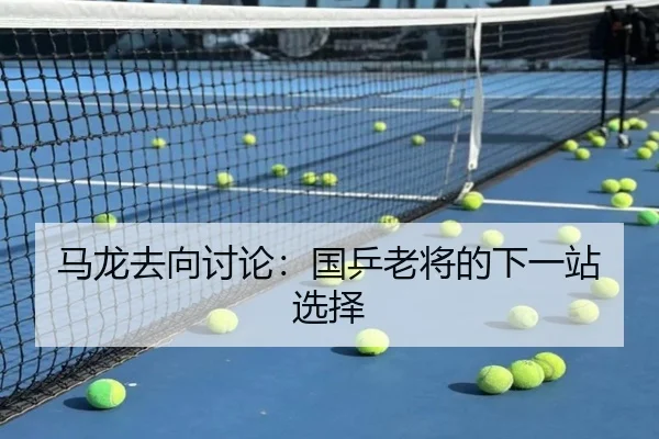 马龙去向讨论：国乒老将的下一站选择